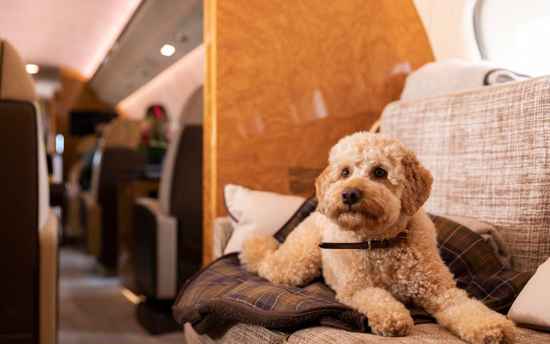 This image is missing an alt tag