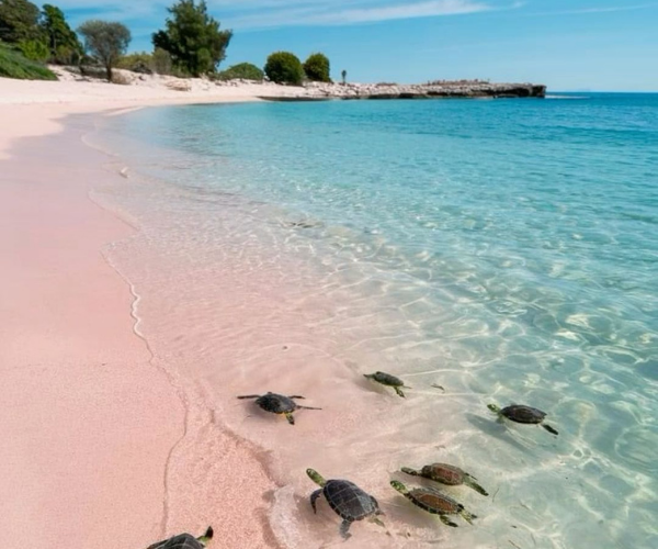 Spiaggia di Elafonissi